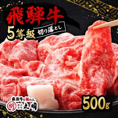 飛騨牛5等級　切り落とし用途いろいろ　500g