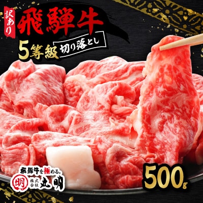 【訳あり】飛騨牛5等級 切り落とし用途いろいろ 500g