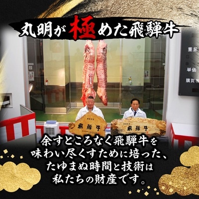 飛騨牛5等級ロース・すき焼きしゃぶしゃぶ用 800g