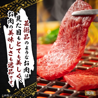 飛騨牛5等級　ミスジ・三角バラ　焼肉用　500g