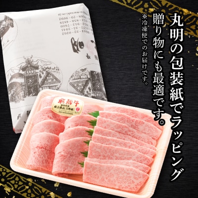 飛騨牛5等級　ミスジ・三角バラ　焼肉用　500g