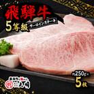 飛騨牛5等級　サーロインステーキ　約250g×5枚