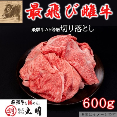 【最飛び雌牛】飛騨牛A5等級切り落とし　600g