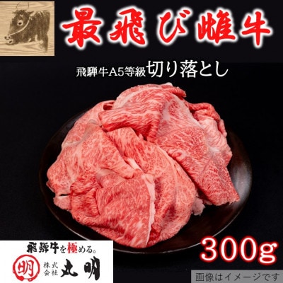 【最飛び雌牛】飛騨牛A5等級切り落とし　300g