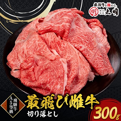 【最飛び雌牛】飛騨牛A5等級切り落とし　300g