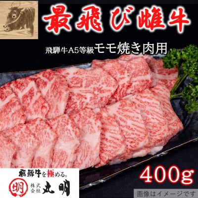 【最飛び雌牛】飛騨牛A5等級モモ焼き肉用　400g