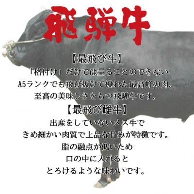 【最飛び雌牛】飛騨牛A5等級モモ焼き肉用　400g