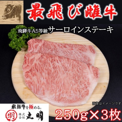 【最飛び雌牛】飛騨牛A5等級サーロインステーキ　250g×3枚