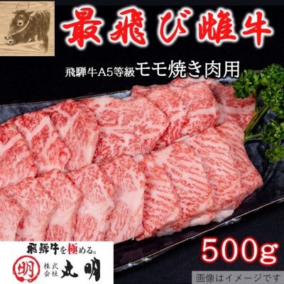 【最飛び雌牛】飛騨牛A5等級モモ焼き肉用　500g