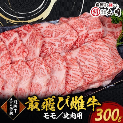 【最飛び雌牛】飛騨牛A5等級モモ焼き肉用　300g