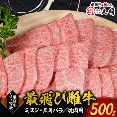 【最飛び雌牛】飛騨牛A5等級ミスジ・三角バラ焼肉用　500g