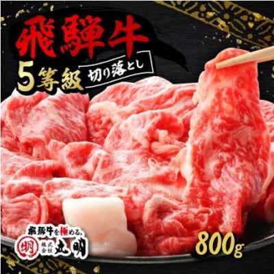 飛騨牛5等級　切り落とし用途いろいろ　800g