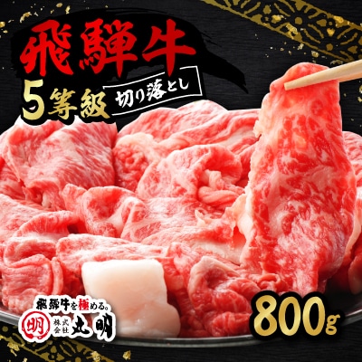 飛騨牛5等級　切り落とし用途いろいろ　800g
