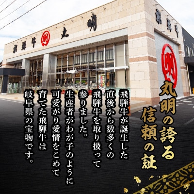 飛騨牛5等級　切り落とし用途いろいろ　800g