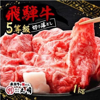 飛騨牛5等級　切り落とし用途いろいろ　1kg