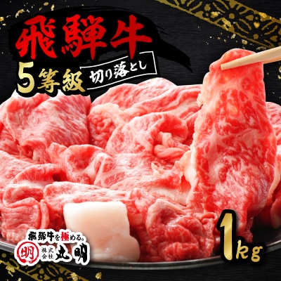 飛騨牛5等級　切り落とし用途いろいろ　1kg