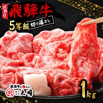 【訳あり】飛騨牛5等級　切り落とし用途いろいろ　1kg
