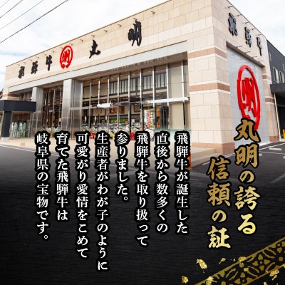 飛騨牛5等級　ヒレ　約150g×4枚