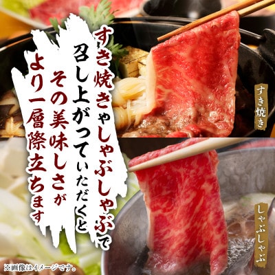 飛騨牛5等級ロース・すき焼きしゃぶしゃぶ用 500g