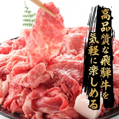 【訳あり】飛騨牛　切り落とし(コマ切れ) 500g