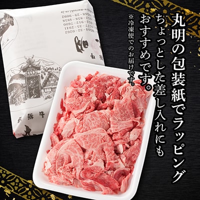 飛騨牛　切り落とし(コマ切れ) 500g