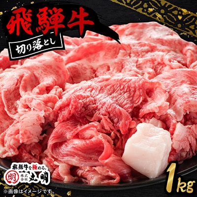 飛騨牛　切り落とし(コマ切れ)　1kg