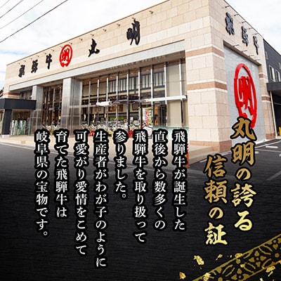 飛騨牛　切り落とし(コマ切れ)　1kg