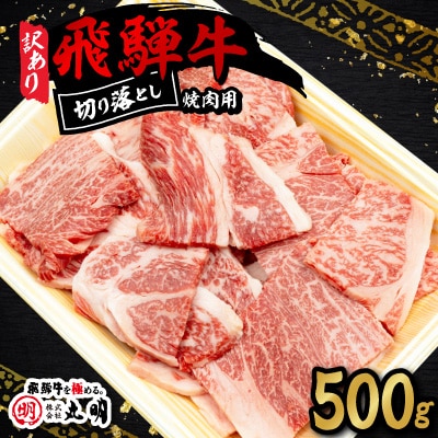 【訳あり】飛騨牛 焼肉 切り落とし 500g