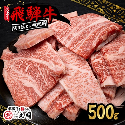 【訳あり】飛騨牛 焼肉　切り落とし 500g
