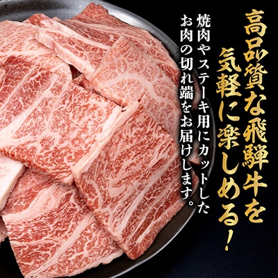 【訳あり】飛騨牛 焼肉　切り落とし 500g