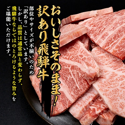 【訳あり】飛騨牛 焼肉　切り落とし 500g