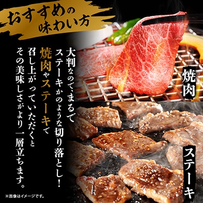 【訳あり】飛騨牛 焼肉　切り落とし 500g