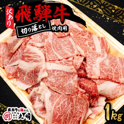 【訳あり】飛騨牛 焼肉　切り落とし 1kg