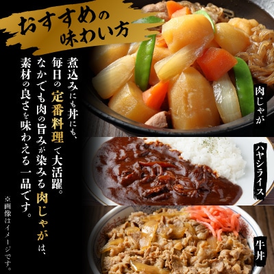 【毎月定期便】【訳あり】飛騨牛　切り落とし(コマ切れ) 500g全3回