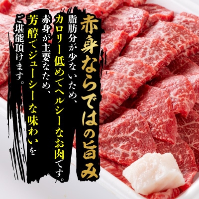 【毎月定期便】飛騨牛　モモ(赤身)　焼き肉用　900g全3回