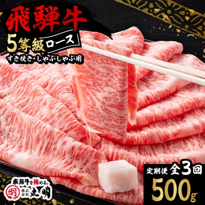 【毎月定期便】飛騨牛5等級ロース・すき焼きしゃぶしゃぶ用 500g全3回
