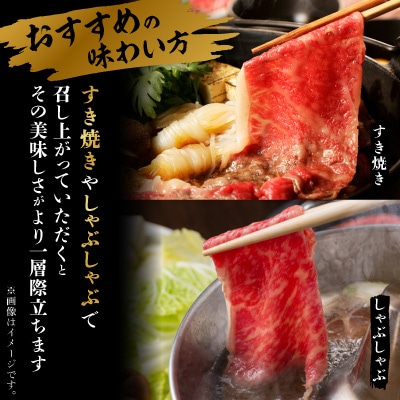 【毎月定期便】飛騨牛5等級ロース・すき焼きしゃぶしゃぶ用 500g全3回