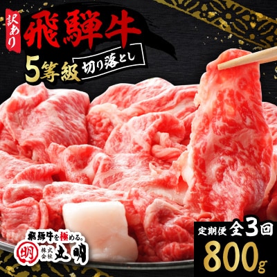 【毎月定期便】【訳あり】飛騨牛5等級　切り落とし用途いろいろ　800g全3回