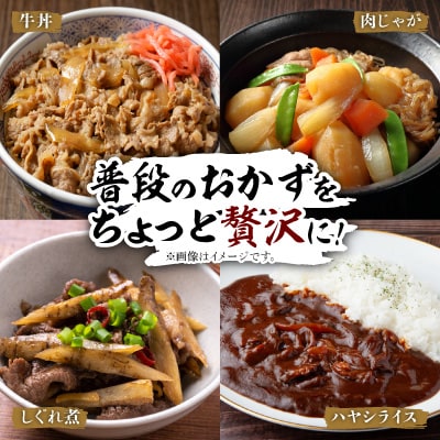 【毎月定期便】【訳あり】飛騨牛5等級　切り落とし用途いろいろ　500g全3回