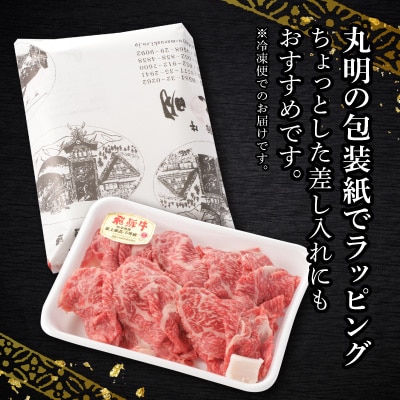 【毎月定期便】【訳あり】飛騨牛5等級　切り落とし用途いろいろ　500g全3回