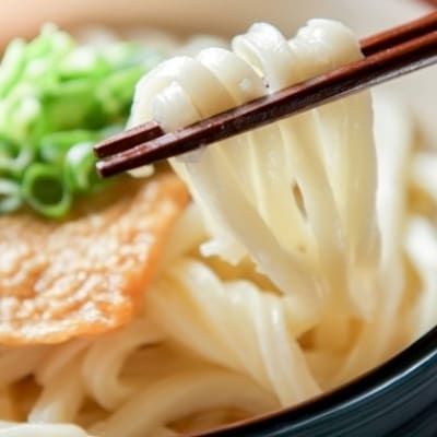 【糖質オフ 50%】低糖質麺 うどん 2700g(約27人前) | ふるさと納税のお礼品