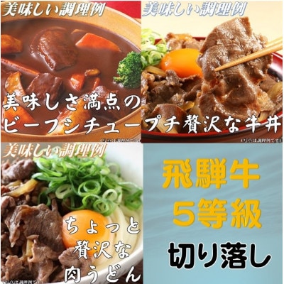 飛騨牛 5等級　切り落し　500g　養老うどん付(3人前)