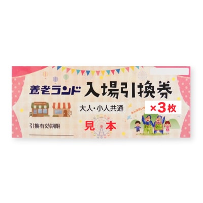 養老ランド 入場券　大人子供共通3枚　乗り物券(2,200円分)セット　養老町　遊園地