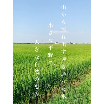 令和4年産 もち米 精米済 5kg