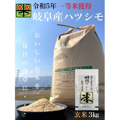 岐阜県養老町産　ハツシモSL　3kg　玄米