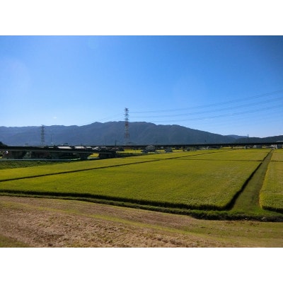 岐阜県養老町産　ハツシモSL　3kg　玄米
