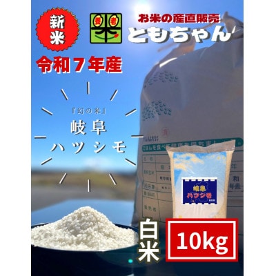 令和7年産　岐阜ハツシモSL　白米　10kg