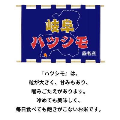 令和7年産　岐阜ハツシモSL　白米　10kg