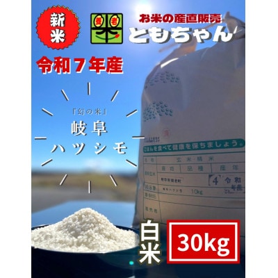 令和7年産　岐阜ハツシモSL　白米　30kg