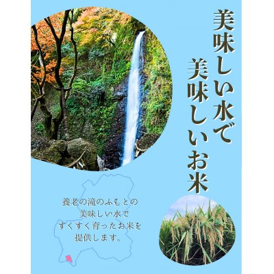 令和7年産　にこまる　白米　5kg